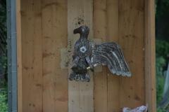small_IMG_2855