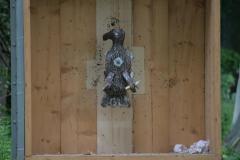 small_IMG_2874