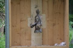 small_IMG_3025