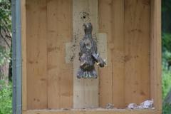 small_IMG_3063