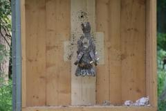 small_IMG_3074