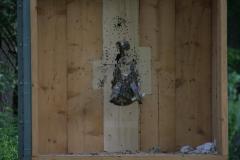 small_IMG_3175