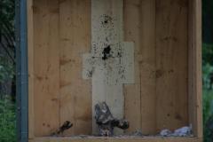 small_IMG_3181