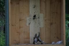 small_IMG_3185